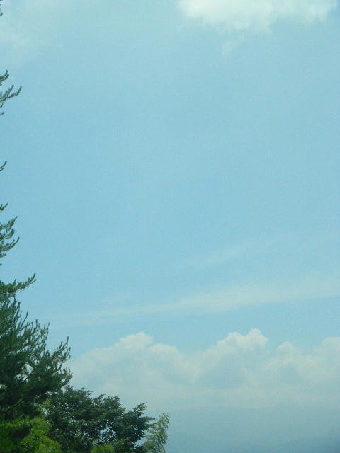 DSCN9213