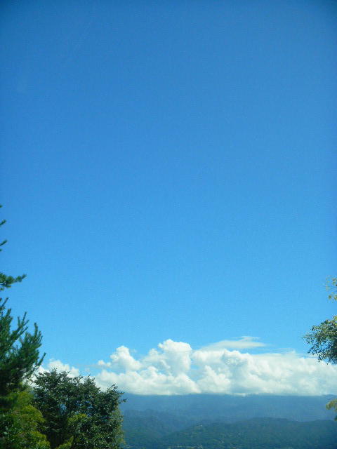 DSCN8178