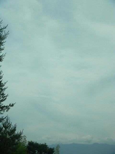 DSCN6266