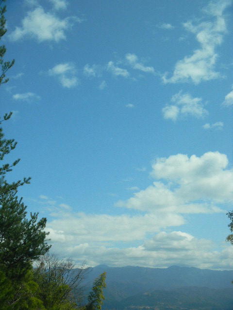 DSCN9988