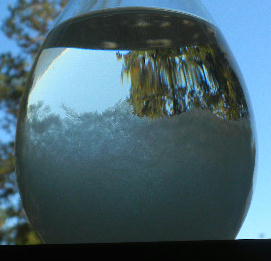 DSCN0546