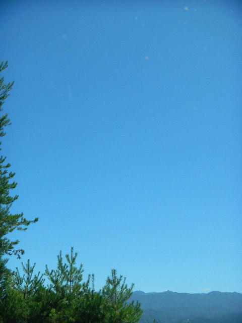DSCN2962