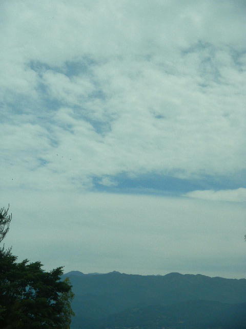 DSCN8884