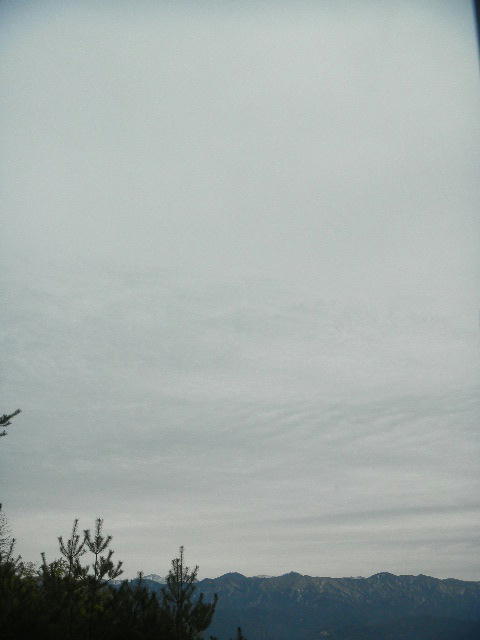 DSCN0649