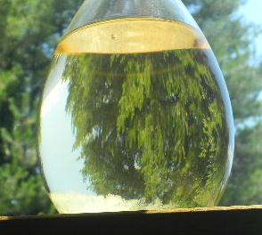 DSCN9057