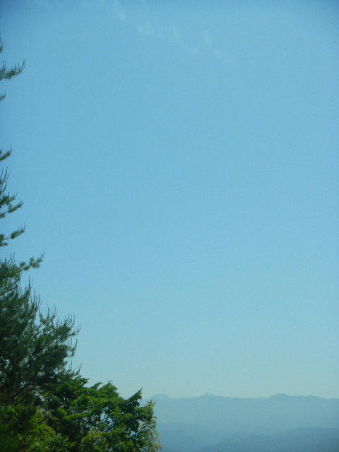 DSCN8849