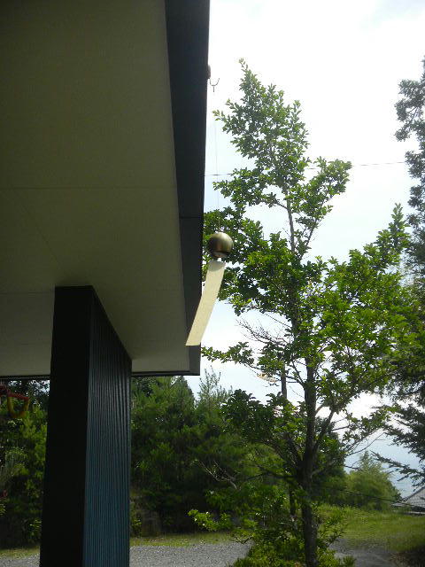 DSCN9837
