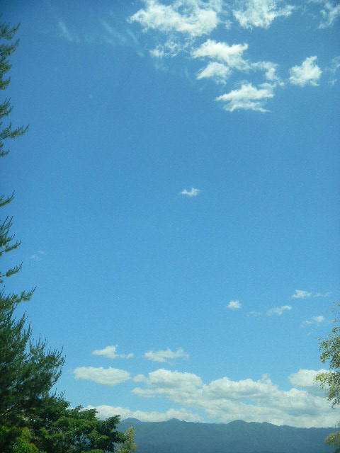 DSCN8879