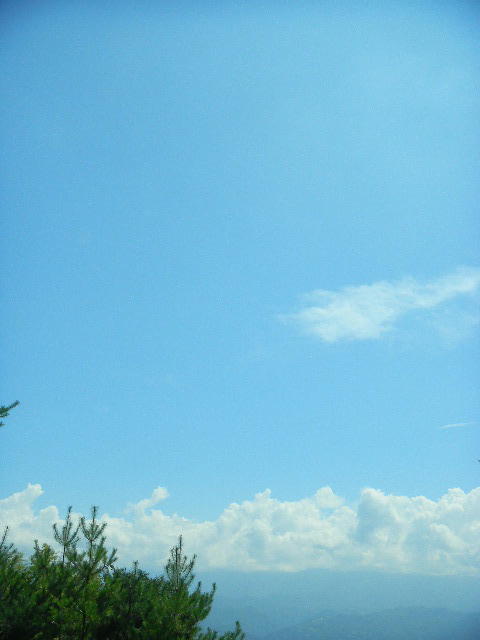 DSCN9915