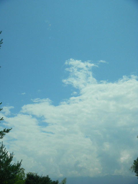 DSCN6386