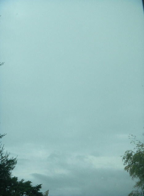 DSCN8970