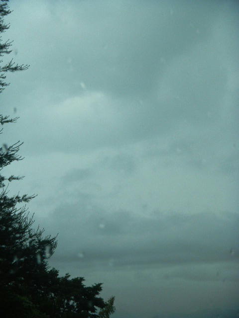DSCN8963
