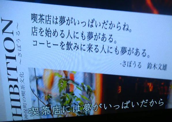 DSCN4713
