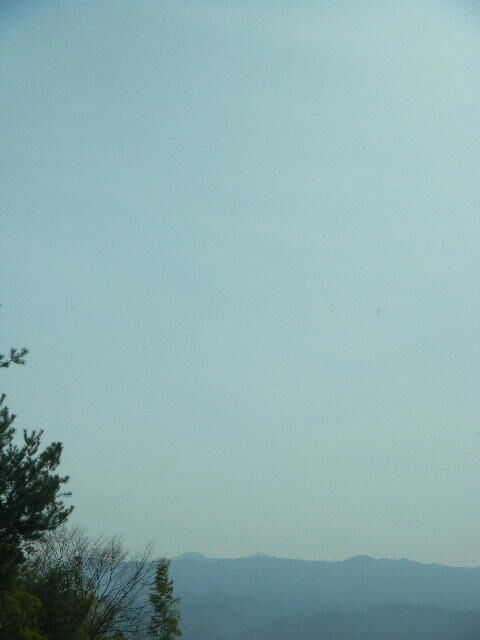 DSCN9985