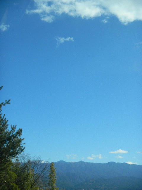 DSCN9882