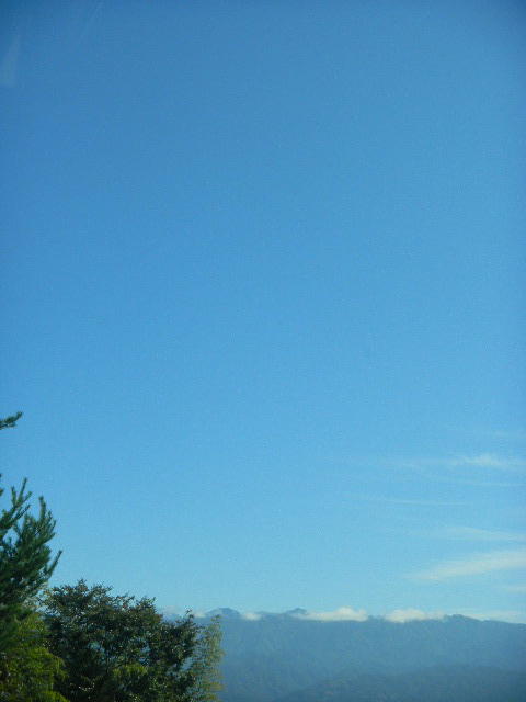 DSCN8317
