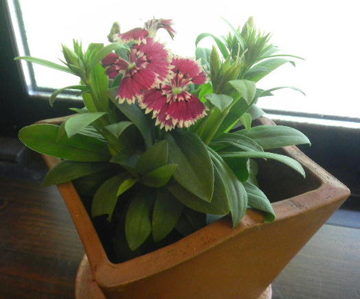 DSCN2932