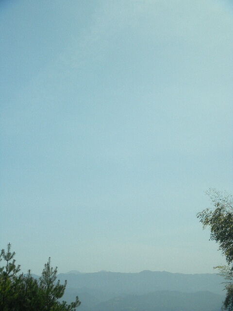 DSCN0987