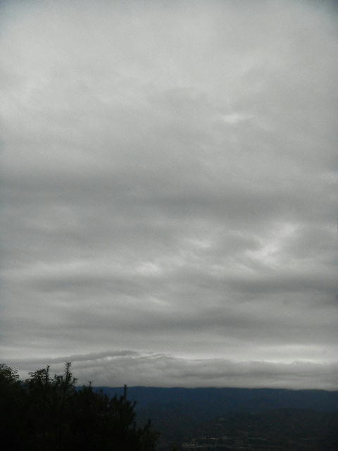 DSCN0561