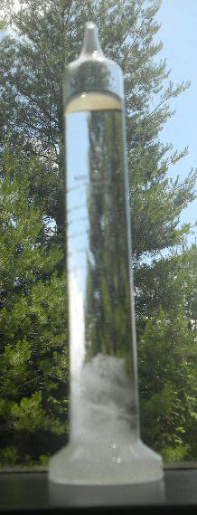 DSCN8974