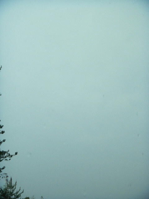 DSCN4573