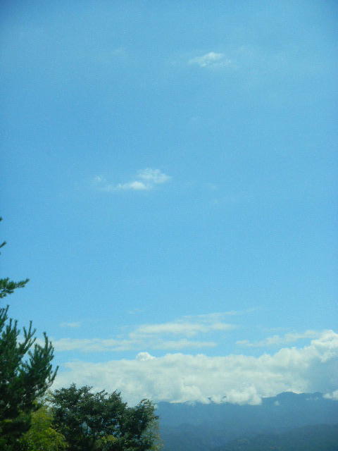 DSCN8112