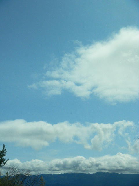 DSCN8855