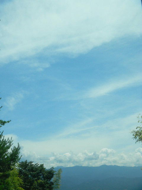 DSCN8037