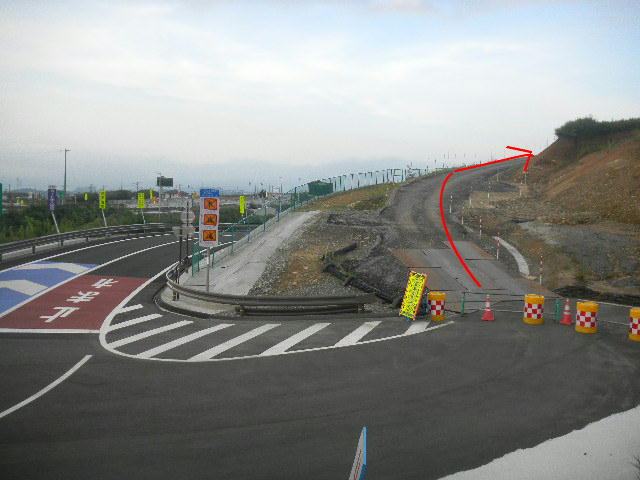 DSCN2950