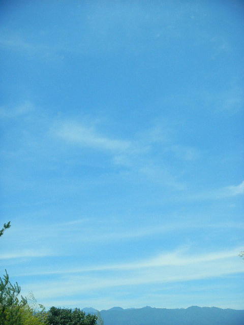 DSCN4908