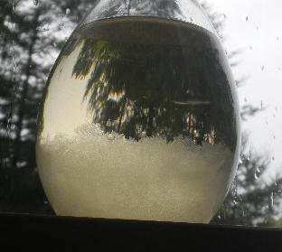 DSCN7916