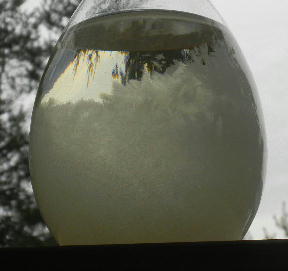 DSCN0648