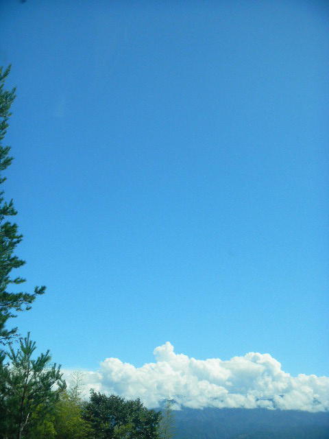 DSCN5138