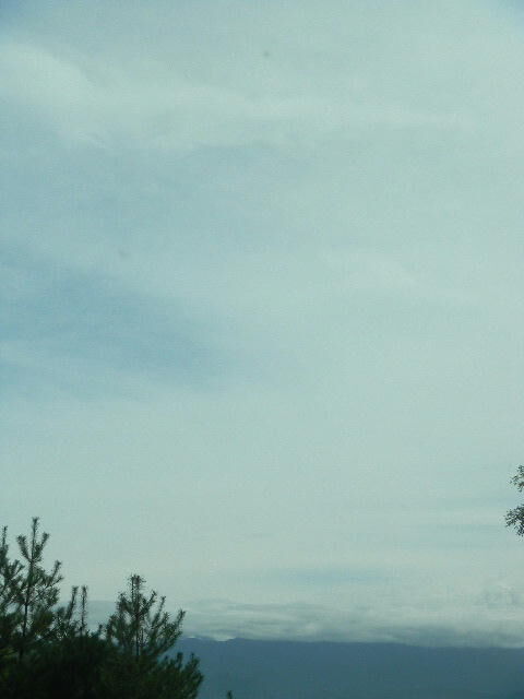 DSCN3096