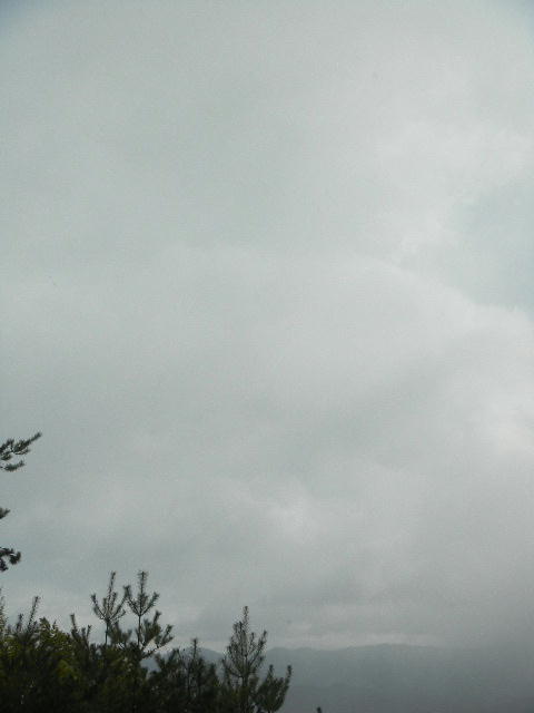 DSCN0706