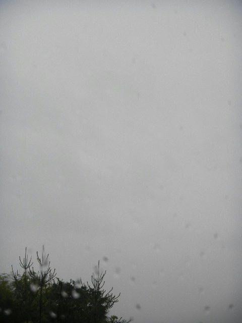 DSCN9700