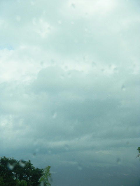 DSCN6270