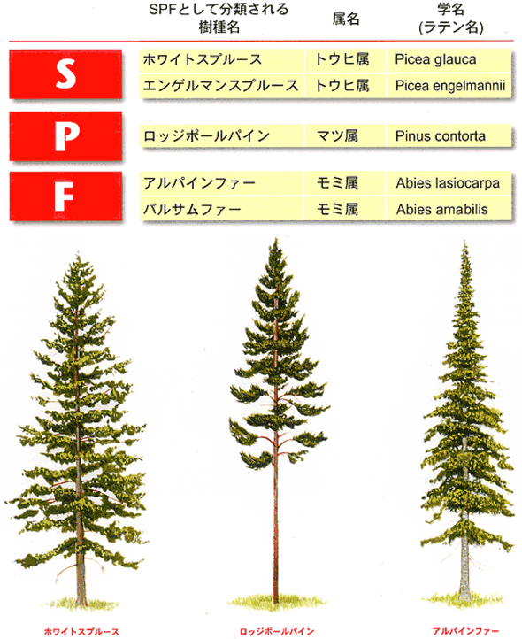 Spf スプルース パイン ファー の長所と短所 ウッドデッキ専門店リーベ ウッドデッキのdiyリーベ
