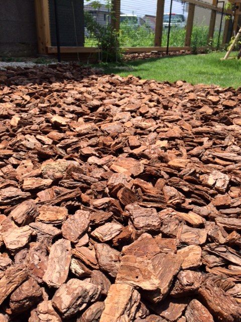 ガーデニング リーベのスタッフブログ