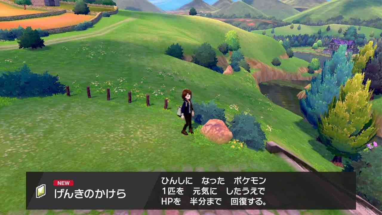 ポケモン剣盾 リーフのガラル冒険記 第2話 ポケモン ゲットだぜ 幻想龍の巣窟 ポケモン剣盾 リーフのガラル冒険記 第2話 ポケモン ゲットだぜ 幻想龍の巣窟