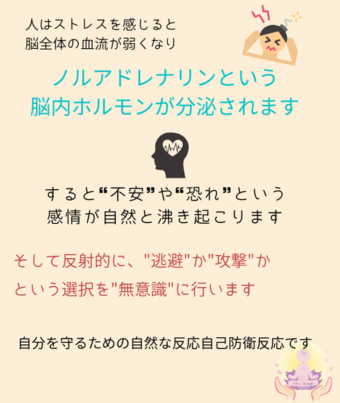 20210513_220441_0000