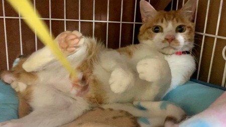 269719715_5282930375071358_536548035759144897_n