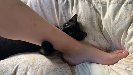 133577445_1225348751198757_1663751858674377609_n