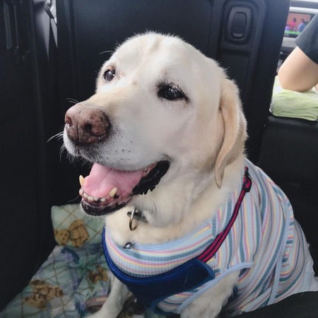 132958867_2755965501323680_2341255217601174469_n