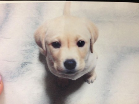 133512159_879315532630398_8562418293136668792_n