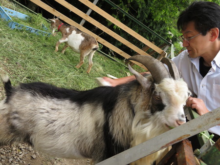 20180512161611_IMG_2427