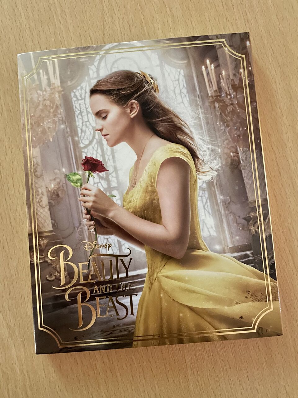 無料映画上映会 美女と野獣 ホームステーションらいふ入間のブログ