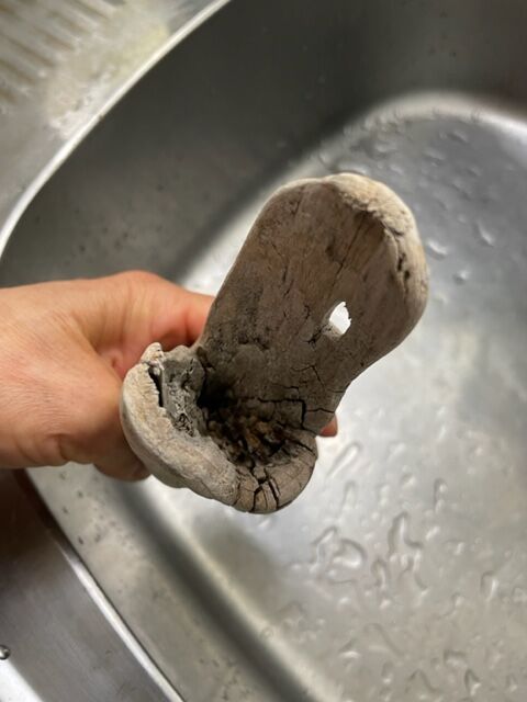 流木塩抜き 人生は野菜スープ