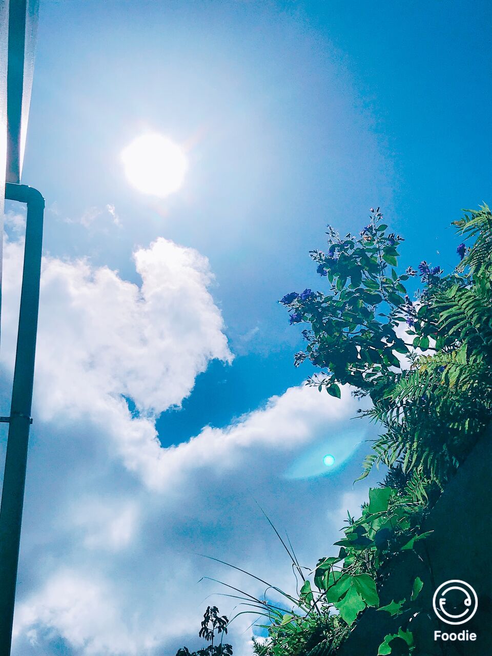 夏の空 らいふ真鶴 海辺の便り