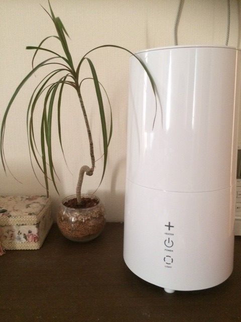 グリーン 観葉植物 心が落ち着く Natural Life 心にゆとりを